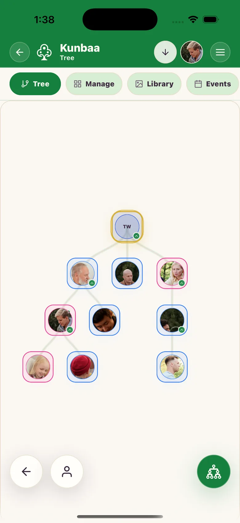 The Kunbaa family tree on a phone: four generations of the Walsh family with a photo on each person, from Thomas at the top down to the grandchildren